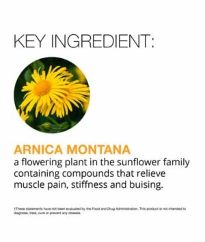 Arnica Montana ingredient details
