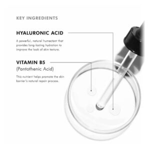 SkinCeuticlas Hydrating B5 Ingredients